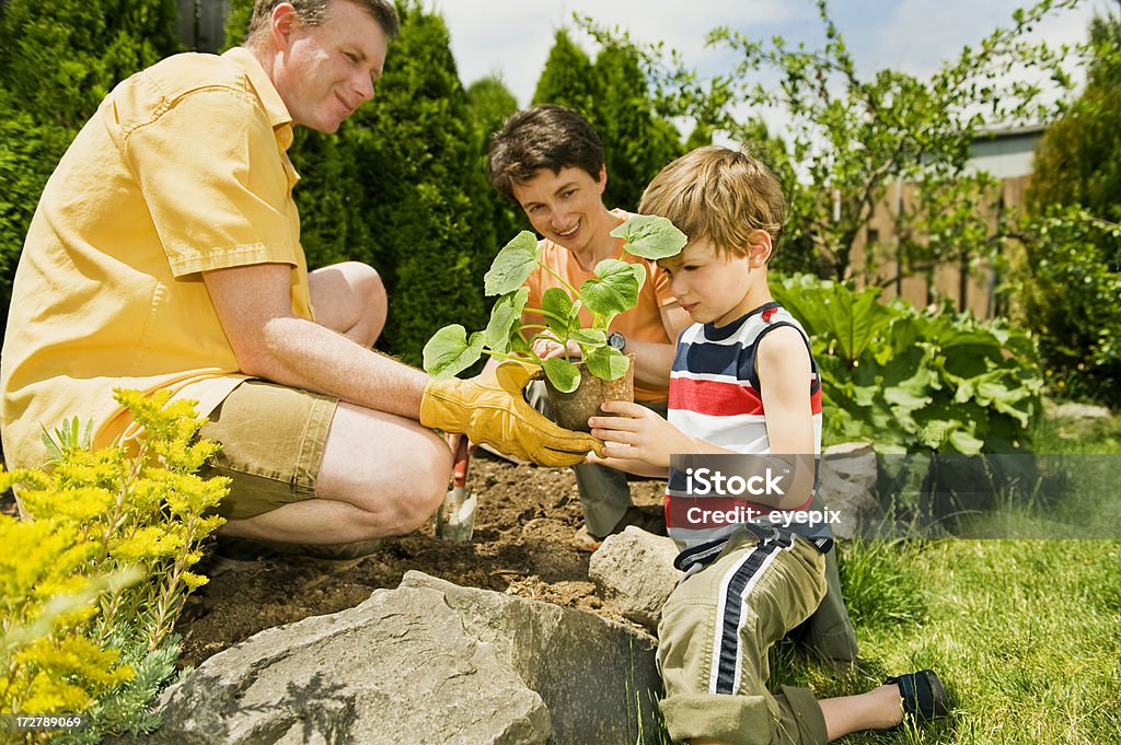 Projet famille jardin - Photo de Adulte libre de droits