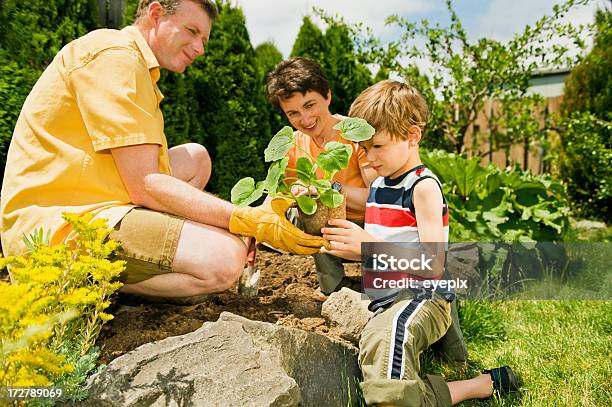 Família Jardim Projecto - Fotografias de stock e mais imagens de Adulto - Adulto, Adulto maduro, Alegria