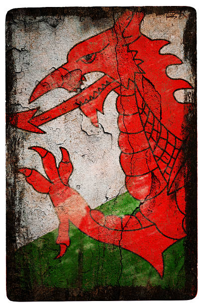 bandeira galesa - welsh flag welsh culture flag green - fotografias e filmes do acervo