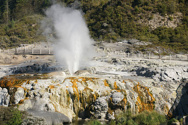 De Te Puia geyser in Rotorua, New Zealand "De Te Puia geyser in Rotorua, New Zealand" whakarewarewa stock pictures, royalty-free photos & images
