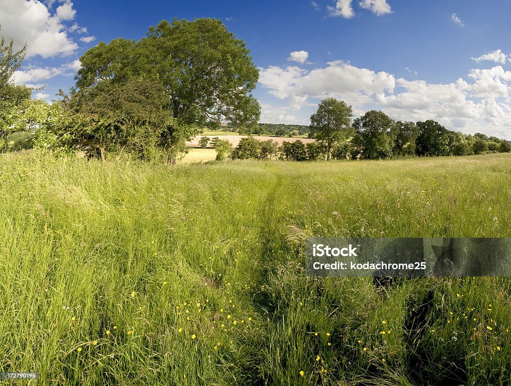 country estate - Foto de stock de Agricultura libre de derechos