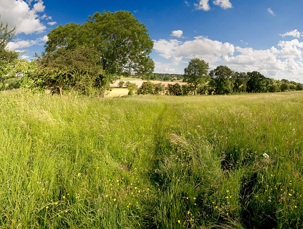 istock country estate 172790195