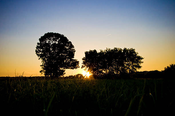 istock Sundown on a Country Road 172790257