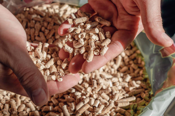 istock Man holding pellet for stove 1727904391