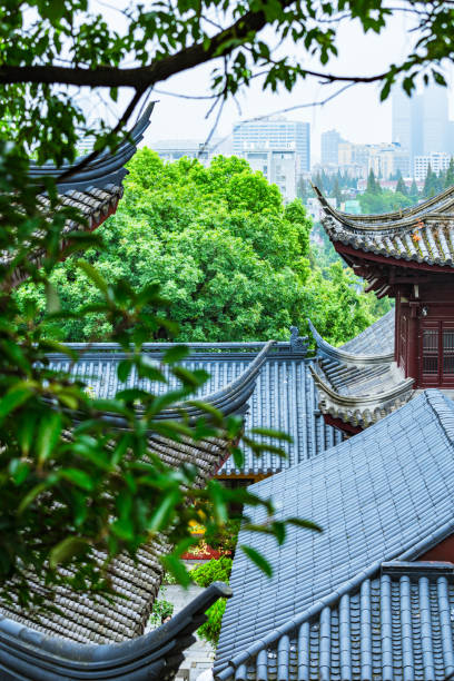 istock Nanjing Xuanwu District-Ming City Wall 1727906759