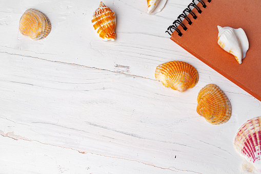 Brown open notepad surrounded by sea shells on white wooden table, copy space