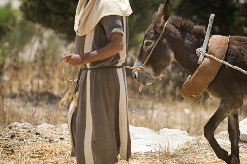 A Jewish/Israeli man leading a donkey wearing traditional Middle Eastern clothing.  Could easily be used as part of the Christmas Bible story; Joseph and Mary traveling to Egypt with a donkey.
