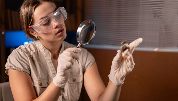 istock Archeologist looking through magnifying glass on artifacts, working late night in office 1727909035