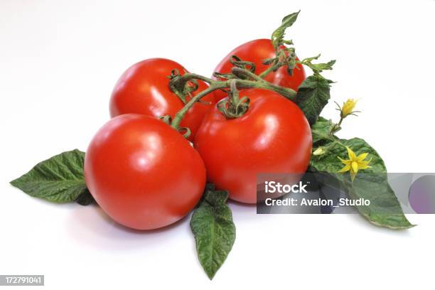 Tomatos Świeże Skład - zdjęcia stockowe i więcej obrazów Bez ludzi - Bez ludzi, Biały, Czerwony