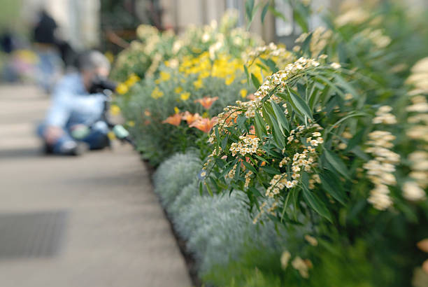 istock Photographer at Indoor Garden 172791418