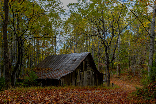 Rustic barn on a curvy road in autumn