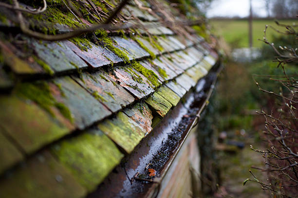 istock Cottage roof detail 172791661
