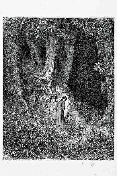 Gloomy wood "Dante in the gloomy wood. Engraving from 1870. Engraving by Gustave Dore, Photo by D Walker." dante stock illustrations