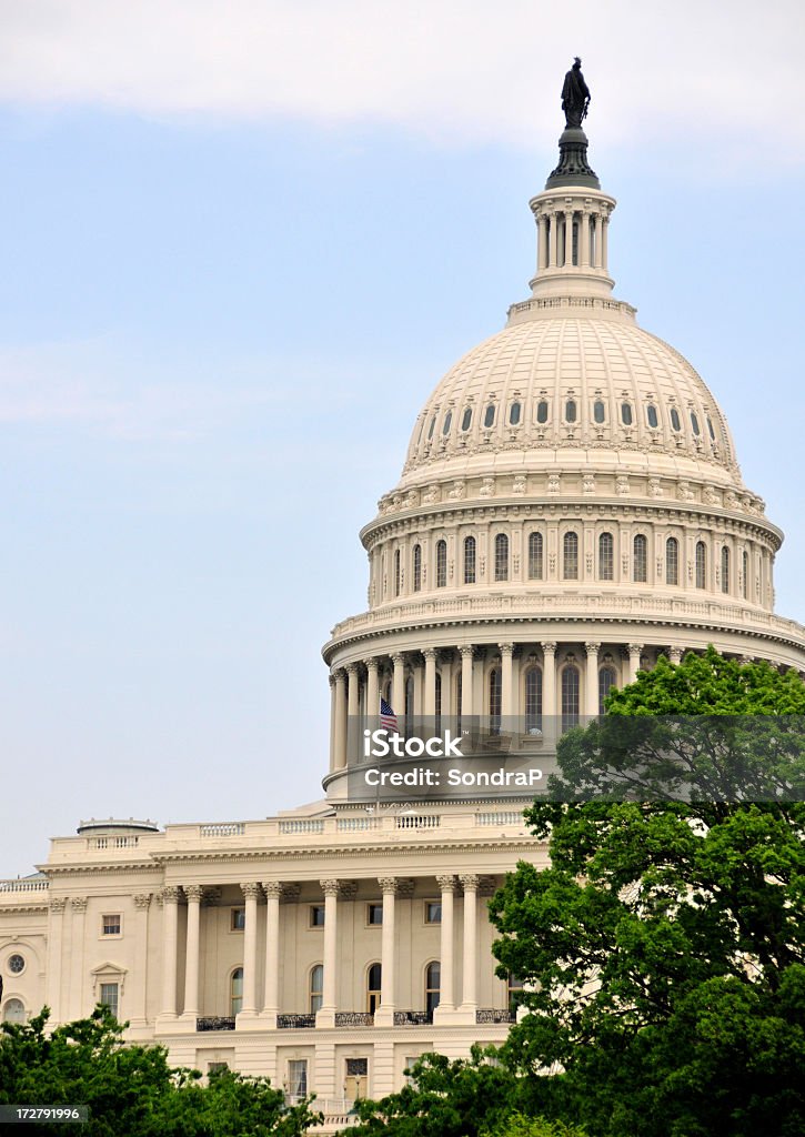 National de Capitol - Photo de Arbre libre de droits