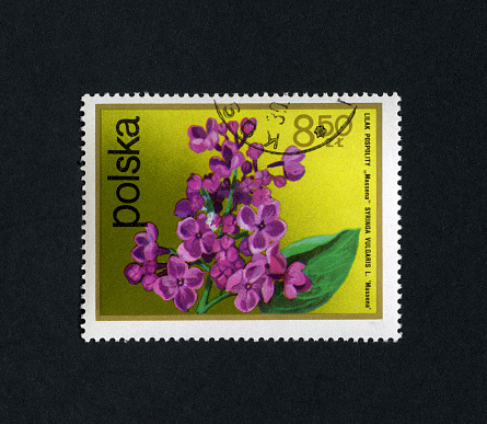 Set of stamps with flower motif, scanned on black background. In aRGB colorspace for optimal printing.