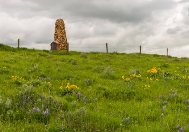 Colorful flowers and grass on historic grassland hill under a dramatic sky in Wyoming.