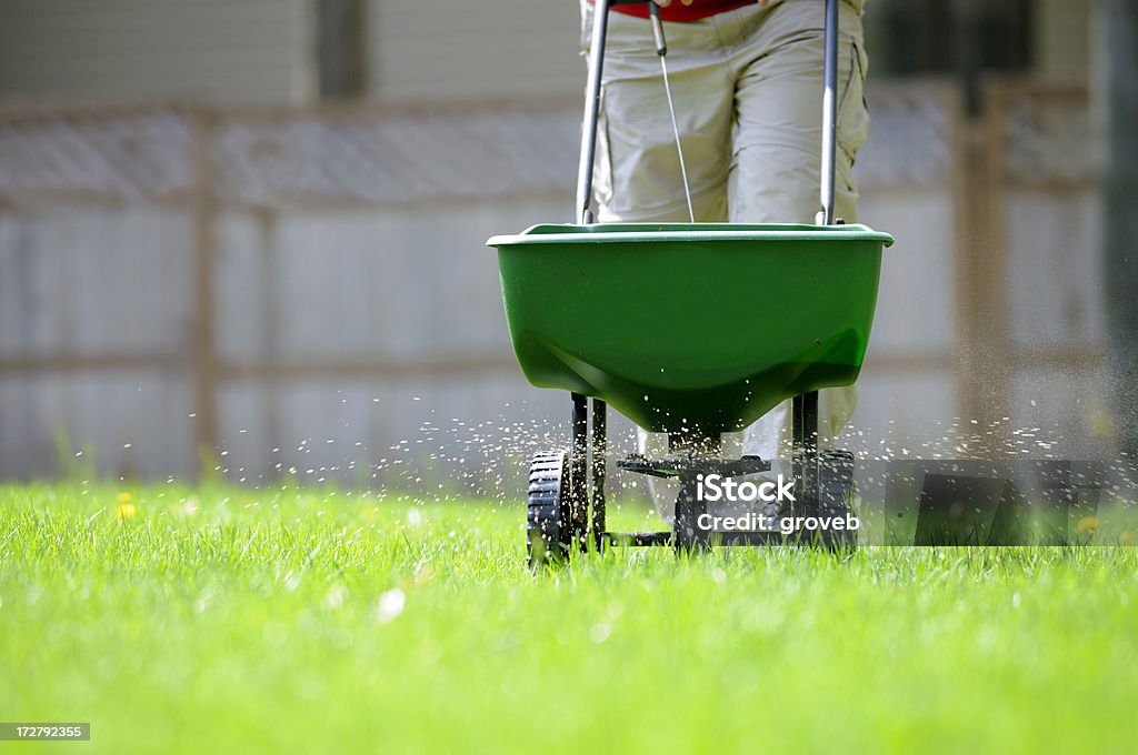 Yard fertilizing Using a broadcast spreader on a green lawn. Fertilizer Stock Photo