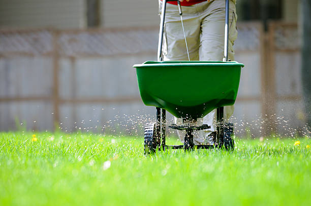 Yard fertilizing Using a broadcast spreader on a green lawn. fertilizer stock pictures, royalty-free photos & images