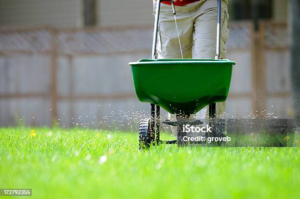 Yard Fertilizing Stock Photo - Download Image Now - Fertilizer, Yard - Grounds, Lawn