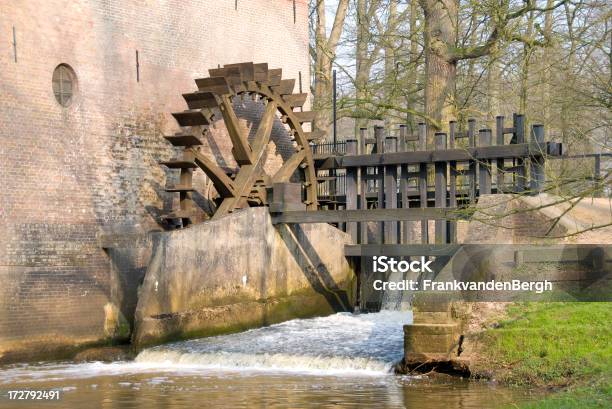 Granulazione - Fotografie stock e altre immagini di Acqua - Acqua, Albero, Ambientazione tranquilla