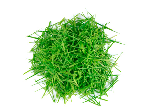 Pile of lawn clippings on white background