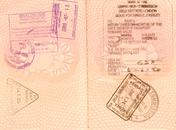 istock Safari addict's Kenya/Namibia passport stamps 172792941