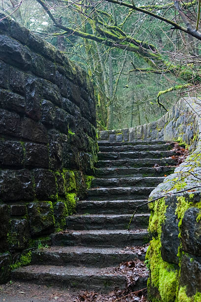 Escalera de oscuridad - foto de stock