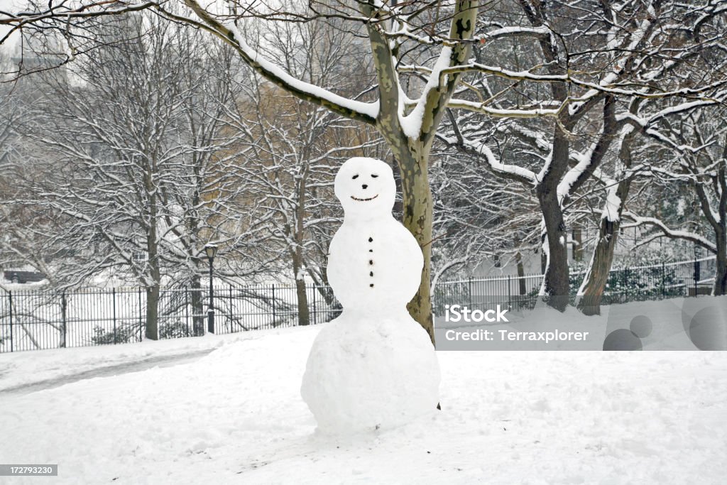 Boneco de neve no Central Park - Royalty-free América do Norte Foto de stock