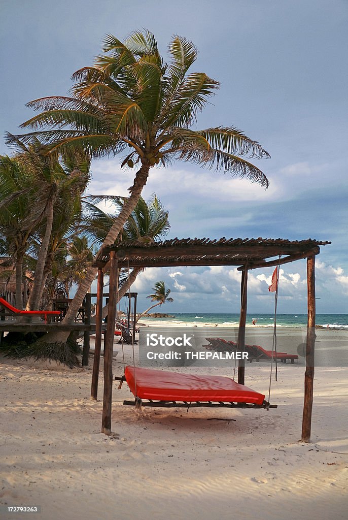 Spiaggia di Riviera maya - Foto stock royalty-free di Albero