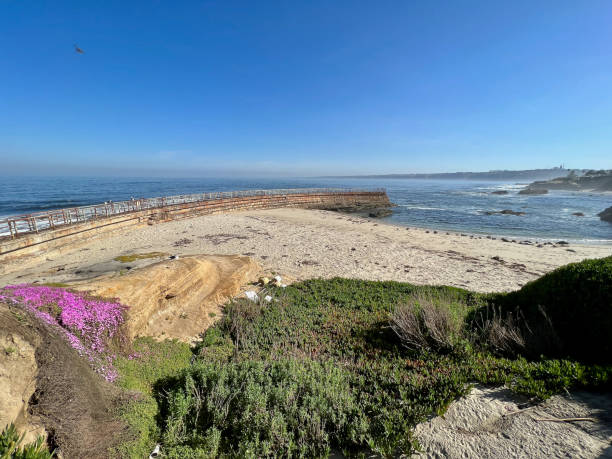istock San Diego/Children's Pool La Jolla.Super Wide. 1727933732