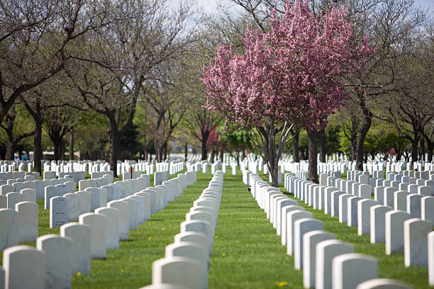 istock Fallen Heroes Final Place of Rest 172793764