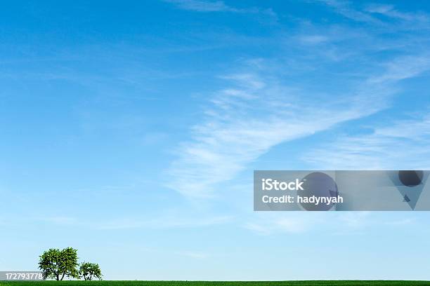 春の風景2 つの木草地ブルースカイ - カラフルのストックフォトや画像を多数ご用意 - カラフル, カラー画像, カリフォルニア州