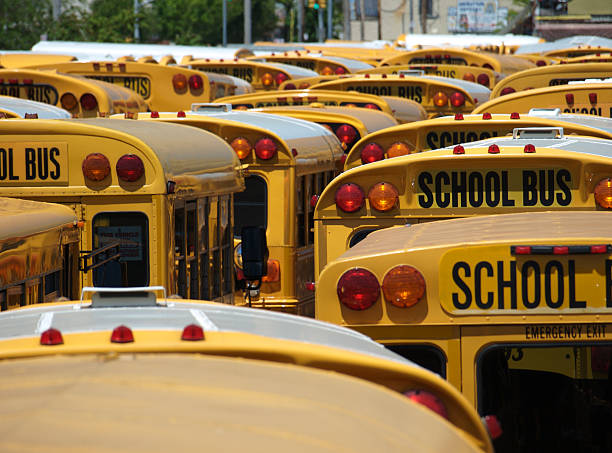 American School buses stock photo