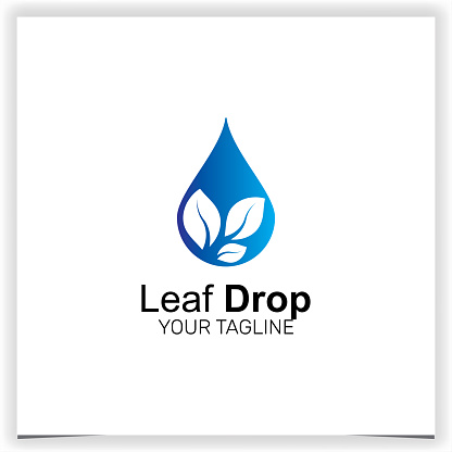 water leaf drop symbol icon premium elegant template vector eps 10