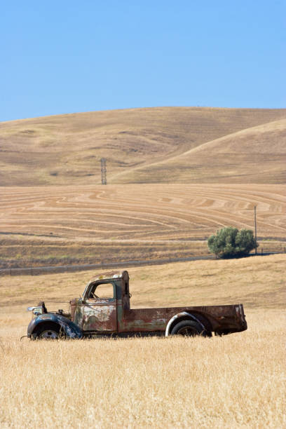 istock Old Truck in Grass Field 172793892