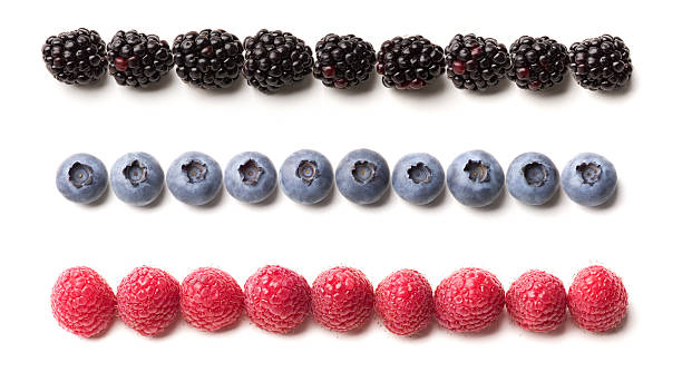 berries in a row fruit border stock photo