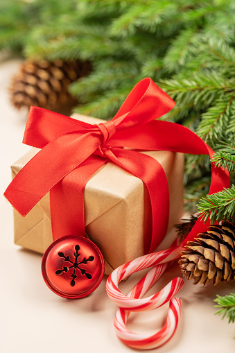 Xmas fir tree branch, Christmas gift box