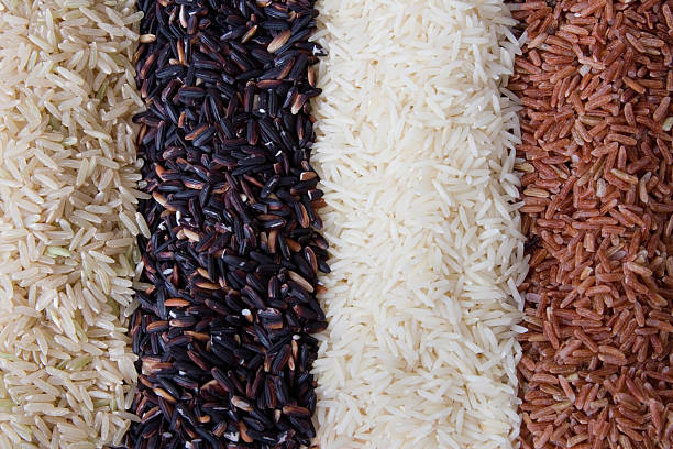 Rows of rice "Four different varieties of rice, brown, wild, basmati and red arranged in rows and shot from above." basmati rice stock pictures, royalty-free photos & images