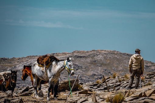 Cordoba, Argentina, October 9, 2023: Argentine gaucho, with a horse. Patagonia Argentina.