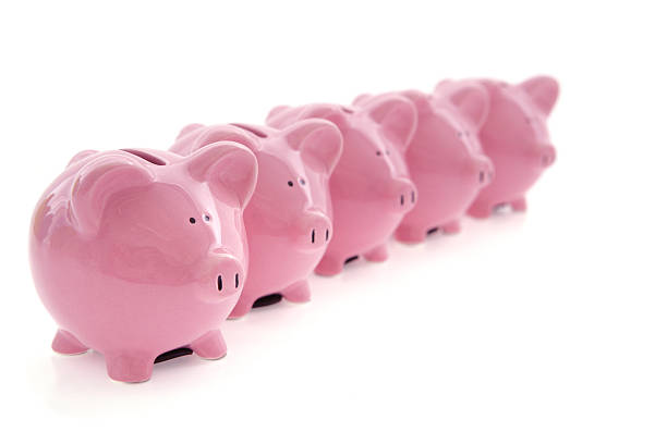 Row of three pink piggy banks isolated on white. Focus on middle pig with side pigs set slightly back.  Alternative version shown below: