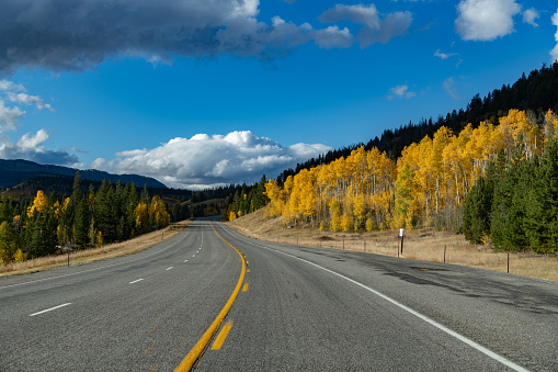 Tall aspen trees bring autumn colors along quiet highway to the Grand Teton National Park of the Yellowstone Ecosystem in western USA of North America. Nearest cities are Jackson, Wyoming, Bozeman and Billings, Montana Salt Lake City, Utah, and Denver, Colorado