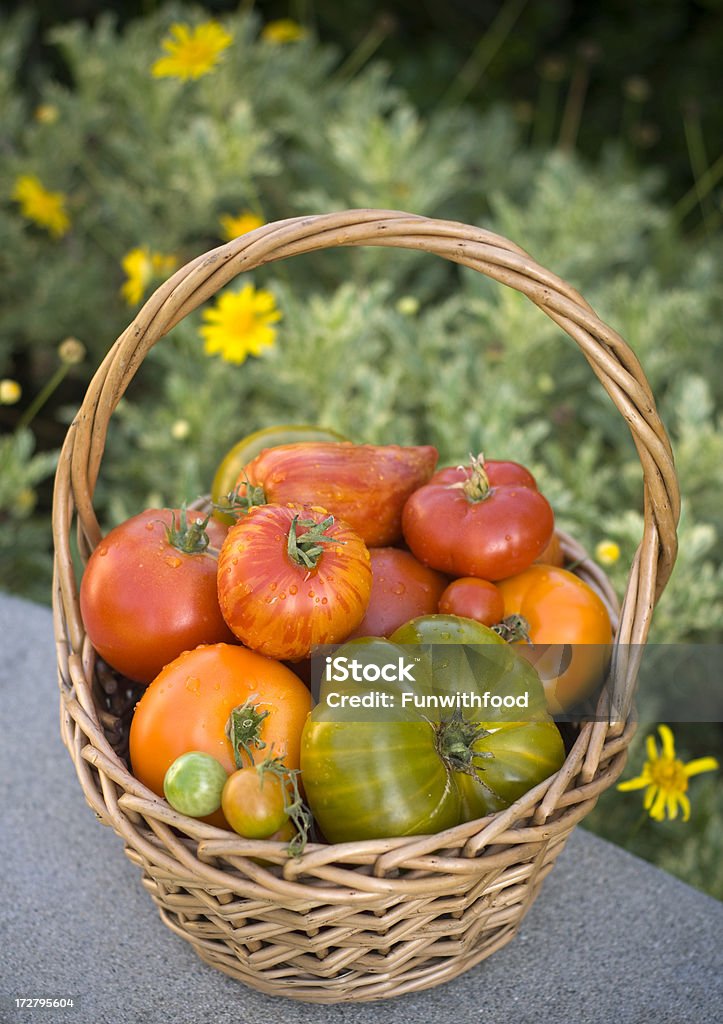 Cesto de Tomate Heirloom - Royalty-free Abundância Foto de stock