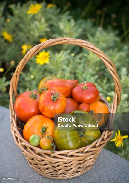 Cesto De Tomate Heirloom - Fotografias de stock e mais imagens de Abundância - Abundância, Alimentação Saudável, Ao Ar Livre