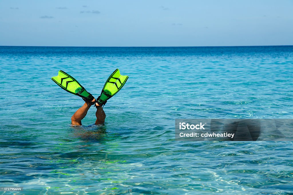 Hombre con aletas mantenerse fuera del agua - Foto de stock de Buceo con tubo libre de derechos