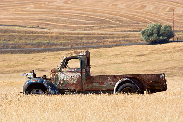 istock Old Truck in Grass Field 172795790