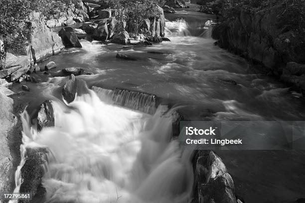 Photo libre de droit de Dam Et Des Chutes De La Rivière Potomac banque d'images et plus d'images libres de droit de Arbre - Arbre, Barrage, Capitales internationales