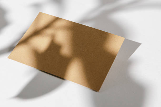 istock Foliage shadow on paper background with business card 1727964733