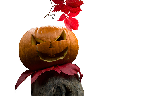 Halloween pumpkin, jack o lantern isolated on white background