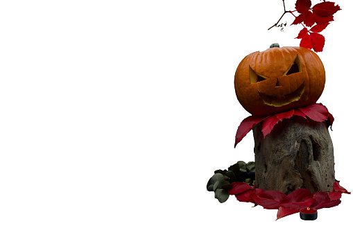 Halloween pumpkin, jack o lantern isolated on white background