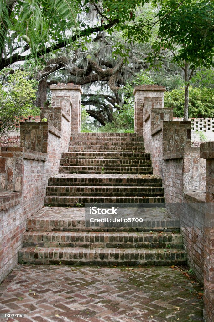 Escalier en brique - Photo de Arbre libre de droits